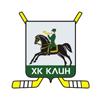 ХК Клин (Клин)