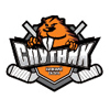 Спутник (Нижний Тагил)